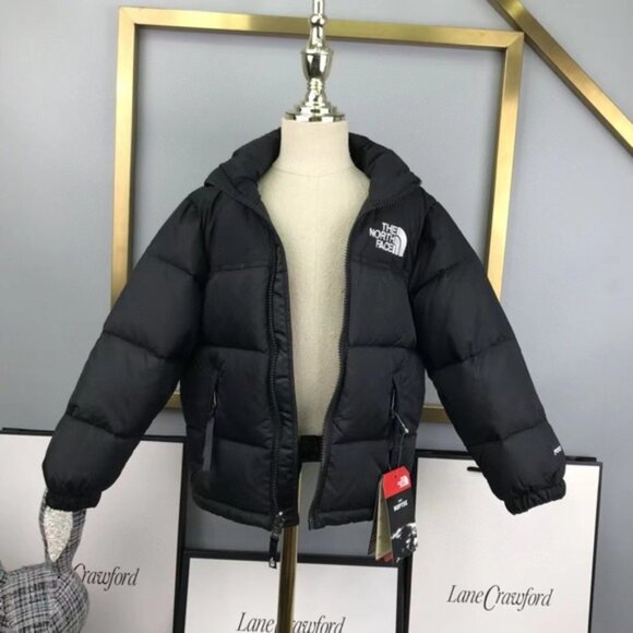 The North Face 1996 Retro Nuptse 700 Jackets - Picture 2 of 5
